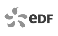 SIRFULL - Logo homepage EDF