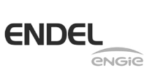 SIRFULL - Logo homepage Endel